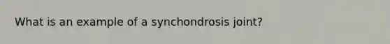 What is an example of a synchondrosis joint?