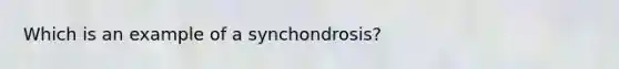 Which is an example of a synchondrosis?