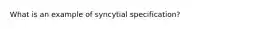 What is an example of syncytial specification?