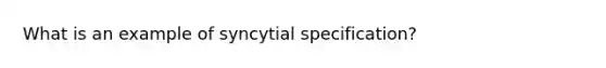 What is an example of syncytial specification?