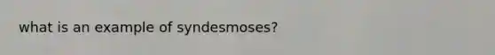 what is an example of syndesmoses?