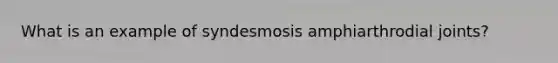 What is an example of syndesmosis amphiarthrodial joints?