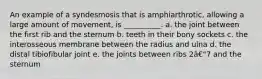 An example of a syndesmosis that is amphiarthrotic, allowing a large amount of movement, is __________. a. the joint between the first rib and the sternum b. teeth in their bony sockets c. the interosseous membrane between the radius and ulna d. the distal tibiofibular joint e. the joints between ribs 2â€"7 and the sternum