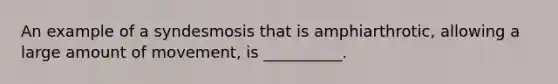 An example of a syndesmosis that is amphiarthrotic, allowing a large amount of movement, is __________.