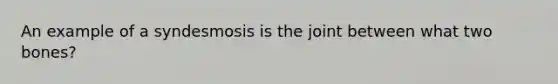 An example of a syndesmosis is the joint between what two bones?