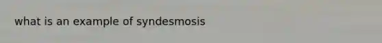 what is an example of syndesmosis