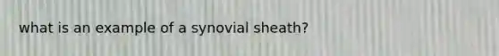 what is an example of a synovial sheath?