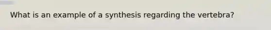 What is an example of a synthesis regarding the vertebra?