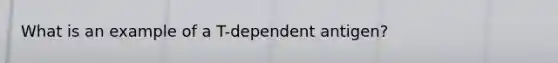 What is an example of a T-dependent antigen?