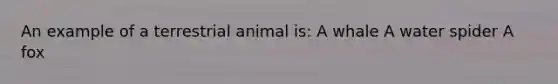 An example of a terrestrial animal is: A whale A water spider A fox