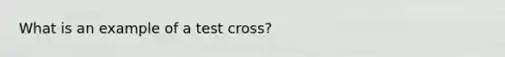 What is an example of a test cross?