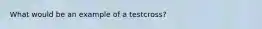 What would be an example of a testcross?