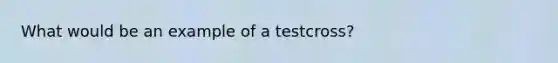 What would be an example of a testcross?