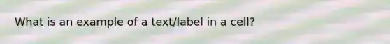 What is an example of a text/label in a cell?