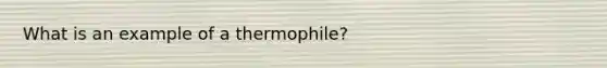 What is an example of a thermophile?