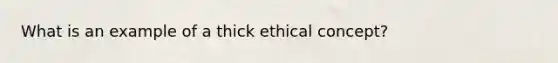 What is an example of a thick ethical concept?