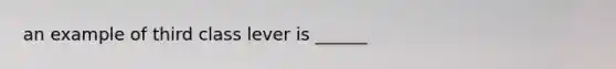 an example of third class lever is ______