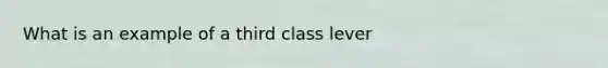 What is an example of a third class lever