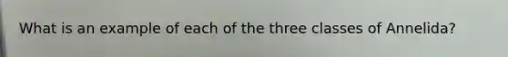 What is an example of each of the three classes of Annelida?