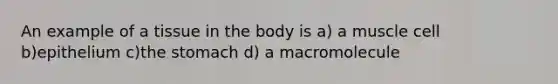 An example of a tissue in the body is a) a muscle cell b)epithelium c)the stomach d) a macromolecule