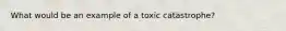 What would be an example of a toxic catastrophe?