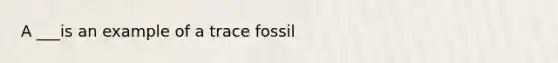 A ___is an example of a trace fossil