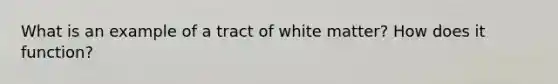 What is an example of a tract of white matter? How does it function?