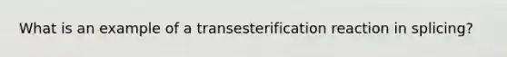 What is an example of a transesterification reaction in splicing?