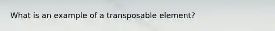 What is an example of a transposable element?