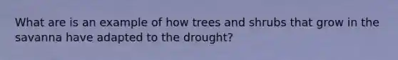 What are is an example of how trees and shrubs that grow in the savanna have adapted to the drought?