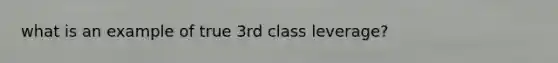 what is an example of true 3rd class leverage?