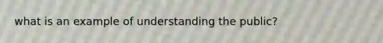 what is an example of understanding the public?