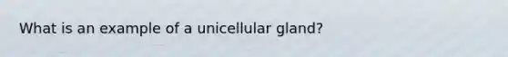 What is an example of a unicellular gland?