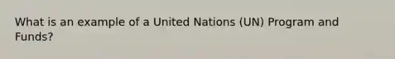 What is an example of a United Nations (UN) Program and Funds?