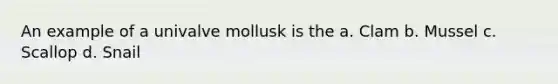 An example of a univalve mollusk is the a. Clam b. Mussel c. Scallop d. Snail