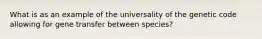 What is as an example of the universality of the genetic code allowing for gene transfer between species?