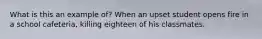 What is this an example of? When an upset student opens fire in a school cafeteria, killing eighteen of his classmates.