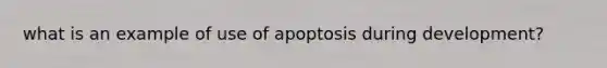 what is an example of use of apoptosis during development?