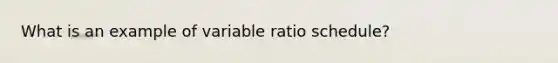 What is an example of variable ratio schedule?