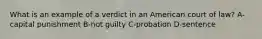 What is an example of a verdict in an American court of law? A-capital punishment B-not guilty C-probation D-sentence