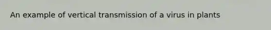 An example of vertical transmission of a virus in plants