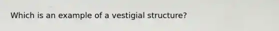 Which is an example of a vestigial structure?