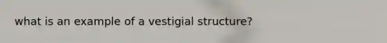 what is an example of a vestigial structure?