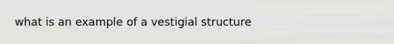 what is an example of a vestigial structure