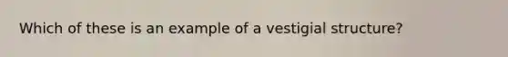 Which of these is an example of a vestigial structure?