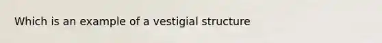 Which is an example of a vestigial structure