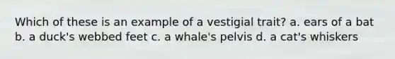 Which of these is an example of a vestigial trait? a. ears of a bat b. a duck's webbed feet c. a whale's pelvis d. a cat's whiskers