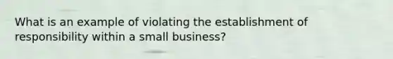 What is an example of violating the establishment of responsibility within a small business?