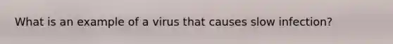 What is an example of a virus that causes slow infection?