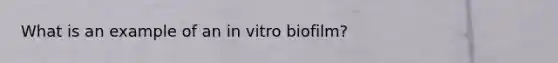 What is an example of an in vitro biofilm?